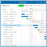 Project Management